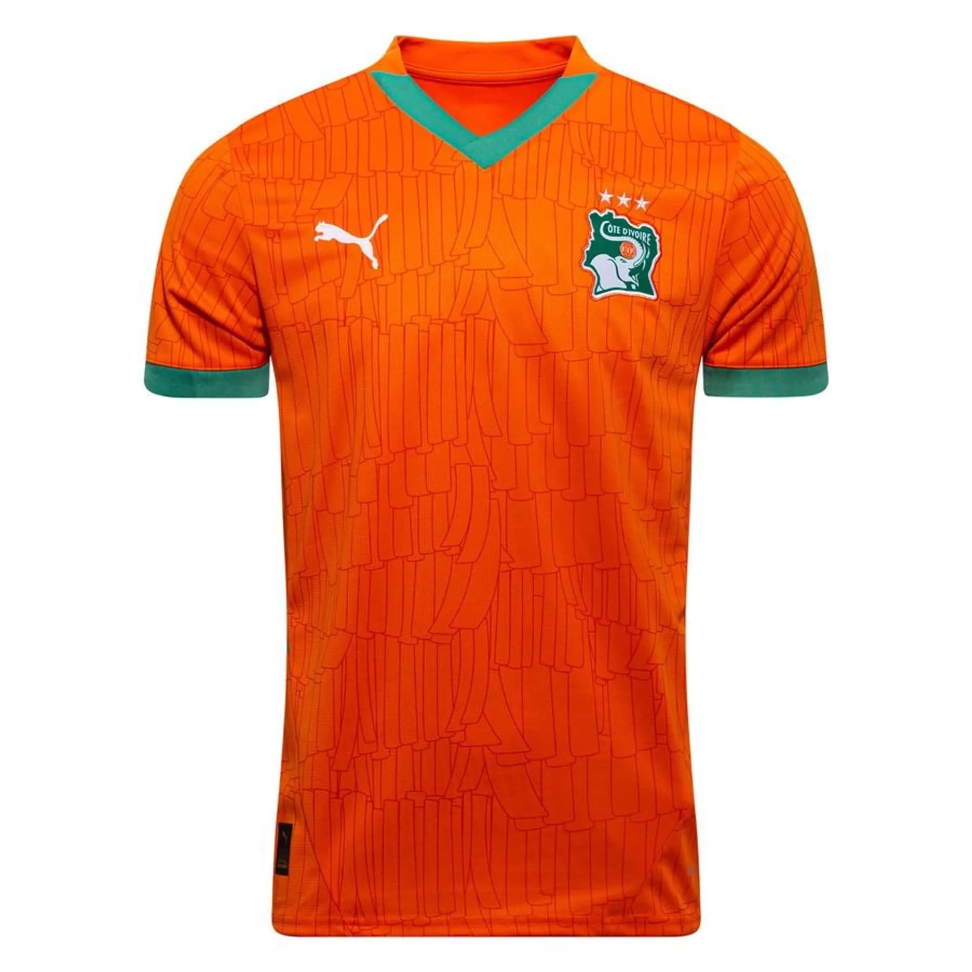 Elfenbenskysten AFCON 2025